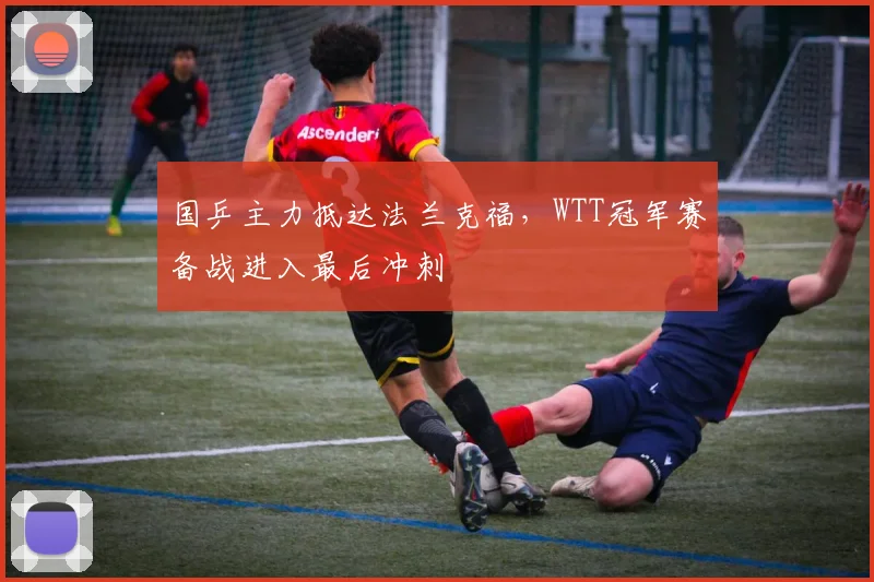 国乒主力抵达法兰克福，WTT冠军赛备战进入最后冲刺