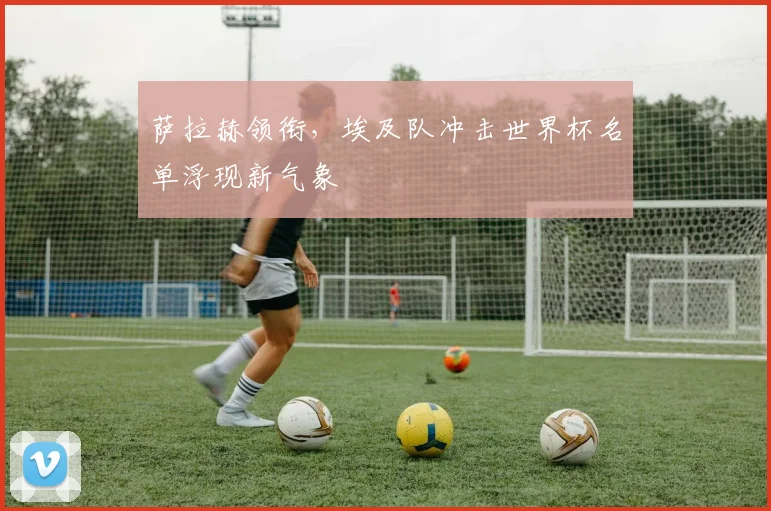 萨拉赫领衔，埃及队冲击世界杯名单浮现新气象